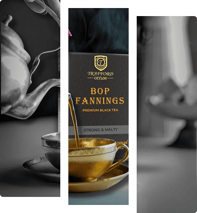 Tea sachets and cup
